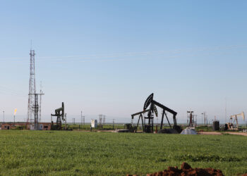 Oil is heading to the largest weekly decline since October due to customs duties Economy news