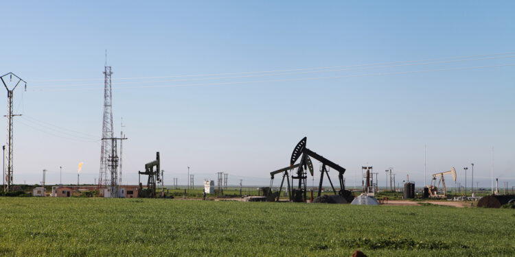 Oil is heading to the largest weekly decline since October due to customs duties Economy news