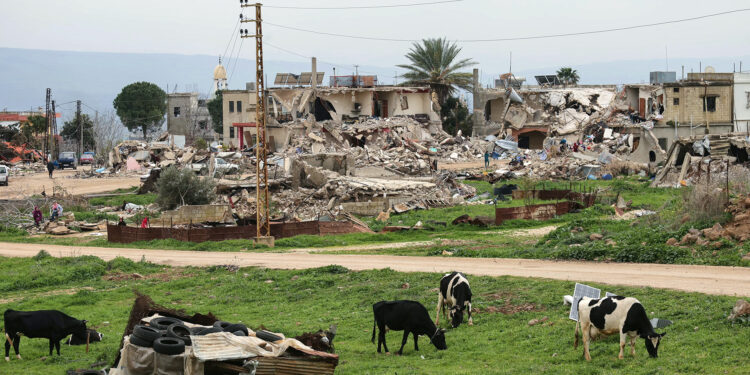 The owners of the farmer in southern Lebanon are demanding compensation after the aggression economy