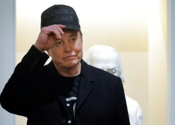 Why are Chinese investors attracted to possess hidden shares with Elon Musk companies? | economy
