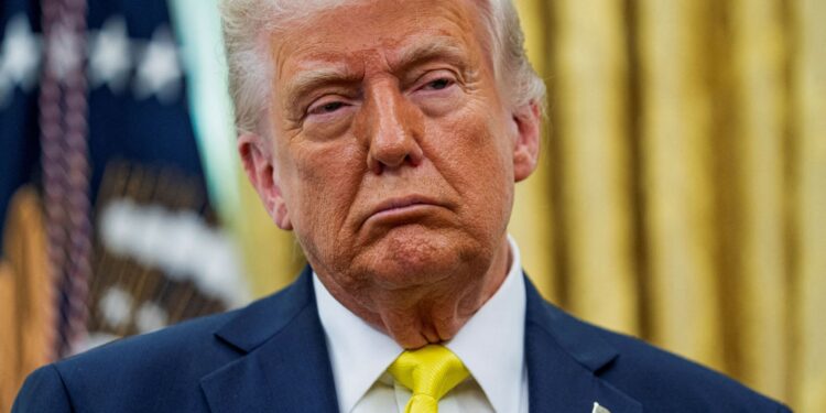 12 US states sue Trump due to customs tariffs news