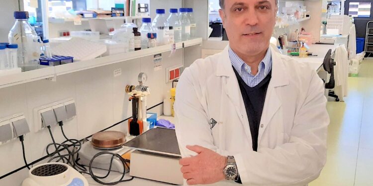 A new CAR-T therapy obtains positive results in a high proportion of patients with a refractory type of lymphoma