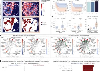 A new IT framework illuminates the hidden ecology of sick tissues