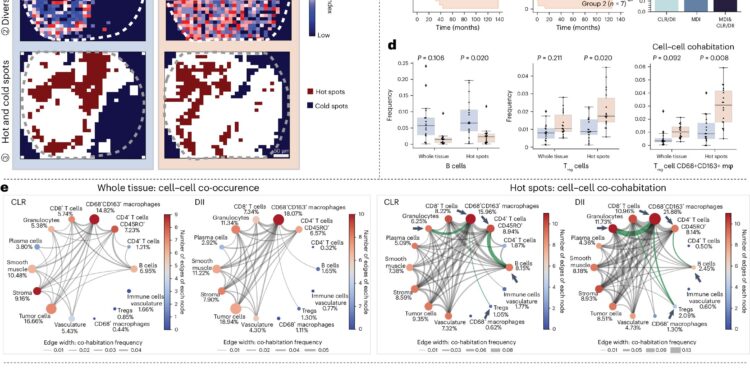 A new IT framework illuminates the hidden ecology of sick tissues