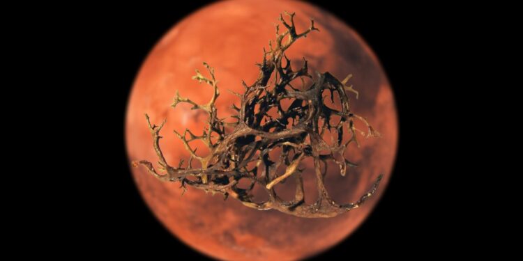 A step towards life on Mars? Lichens survive Martian simulation in a new study