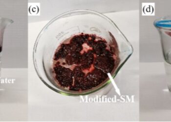 Adsorbent based on reusable foam can help clean oil spills