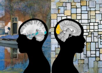 Brain analyzes reveal neurons circuits linked to the subjective interpretation of art
