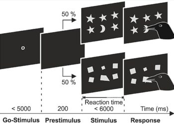 Crows can recognize geometric regularity