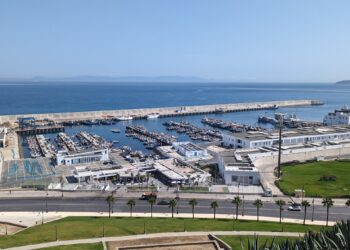 Does Morocco succeed in developing the ship industry? | economy