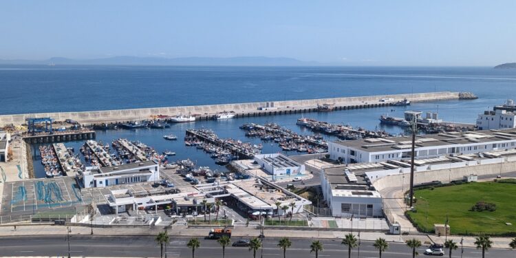 Does Morocco succeed in developing the ship industry? | economy