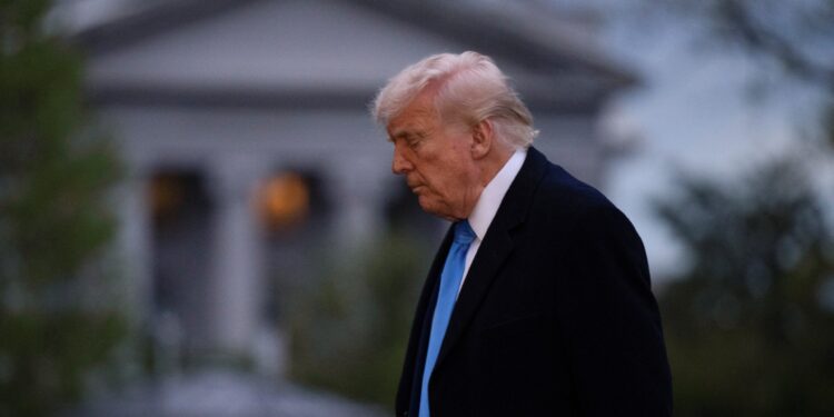 Does Trump’s dream of reviving the American industry turn into a nightmare? | economy