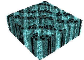 Engineers strengthen wood with ecological nano-ferments