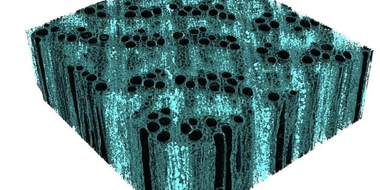 Engineers strengthen wood with ecological nano-ferments