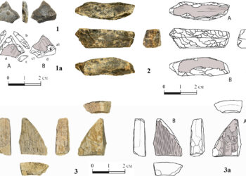 First proof of the production of ivory tools discovered in Ukraine, dating back 400,000 years