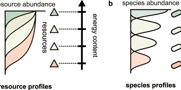 How to identify (theoretically) an extraterrestrial