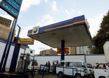 How was the Egyptians affected by the dependents of the high price of fuel? | economy