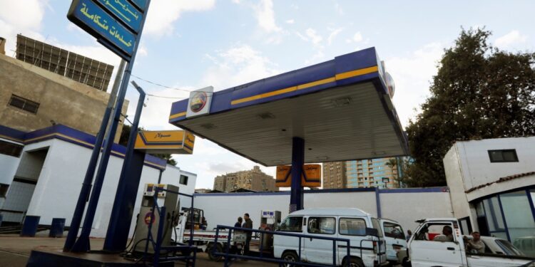 How was the Egyptians affected by the dependents of the high price of fuel? | economy