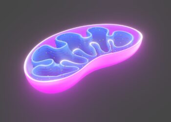 Launch a “ key to work ” of the machinery of our cells could help fight against cancer, fatty liver disease … and hair loss