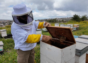 Lebanese live theiras after Israel burned it economy