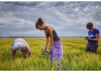 Less intensive management works better for agricultural soils, study discoveries