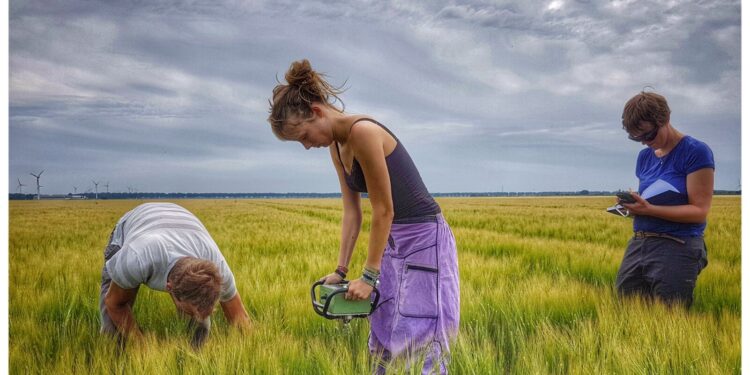 Less intensive management works better for agricultural soils, study discoveries