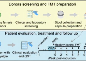 Mouses develop fibromyalgia type pain after receiving intestinal microbiota from human patients