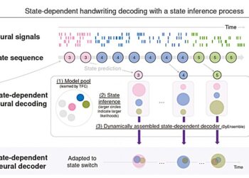 New overview of how the human engine cortex code for complex writing