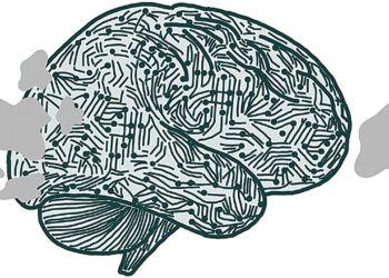 Perception of the tunes of the visual cortex to correspond to the current objectives