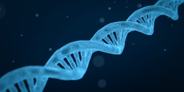 Protective gene proved to preserve mitochondria during the progression of kidney disease