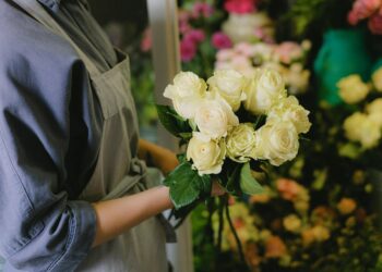 Red, pink or white, all the roses were once yellow, known as genomic analysis