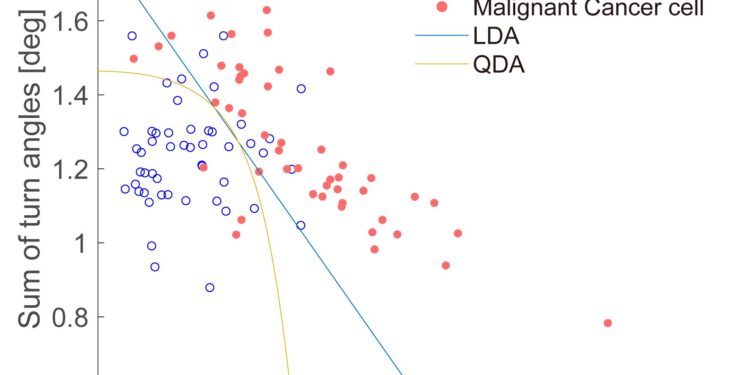 Scientists can distinguish healthy and cancer cells by the way they move