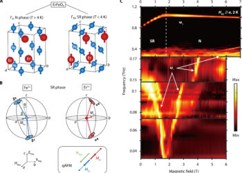 Scientists observe an exotic quantum phase once thought impossible