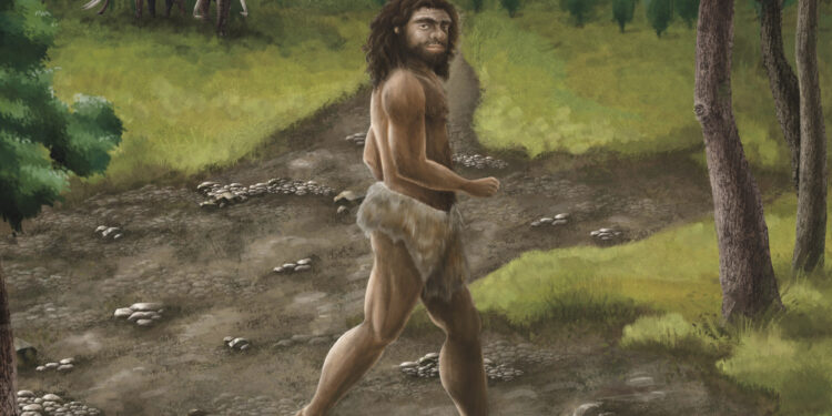 Taiwan’s ancient jaw belongs to a mysterious group of human ancestors, say scientists