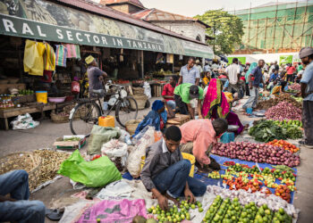 Tanzania prohibits agricultural imports from South Africa and Malawi Economy news