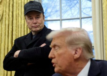 Tesla shares jump 7% after Elon Mask announced his work with Trump economy