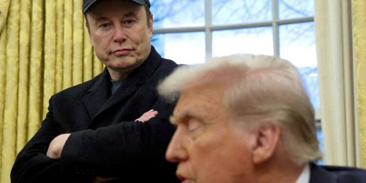 Tesla shares jump 7% after Elon Mask announced his work with Trump economy