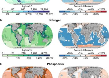 The extraction of global fishing nutrients threatens the ocean ecosystems and productivity, the results of the study