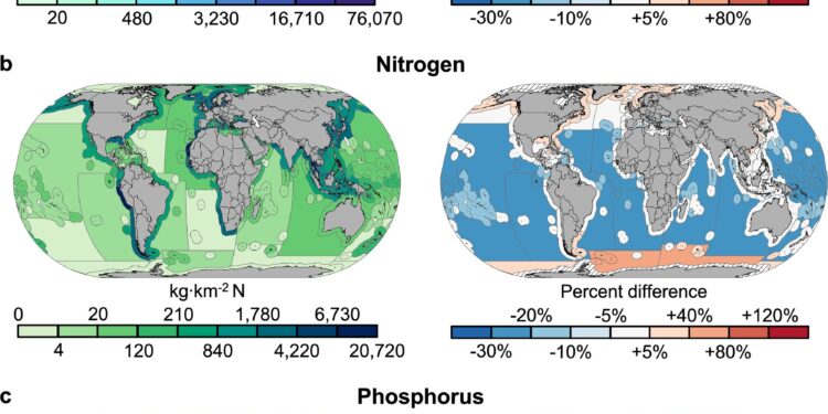 The extraction of global fishing nutrients threatens the ocean ecosystems and productivity, the results of the study