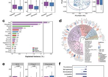 The nasal microbiome can help explain the link between olfactory dysfunction and cognitive decline