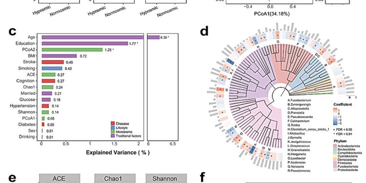 The nasal microbiome can help explain the link between olfactory dysfunction and cognitive decline