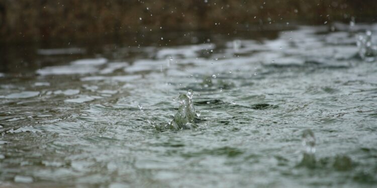 The patterns of precipitation triggered to trigger extreme humid heat under the tropics and subtropics