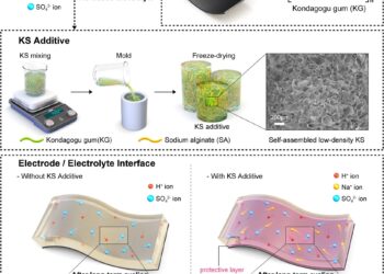 Tree gum can permanently overeat the lifespan of supercapacitors