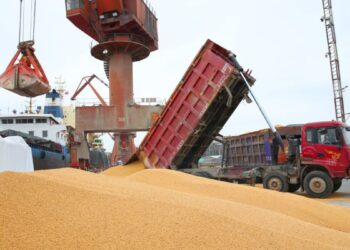 Trump’s commercial war enhances Brazilian agriculture and harms American farmers economy