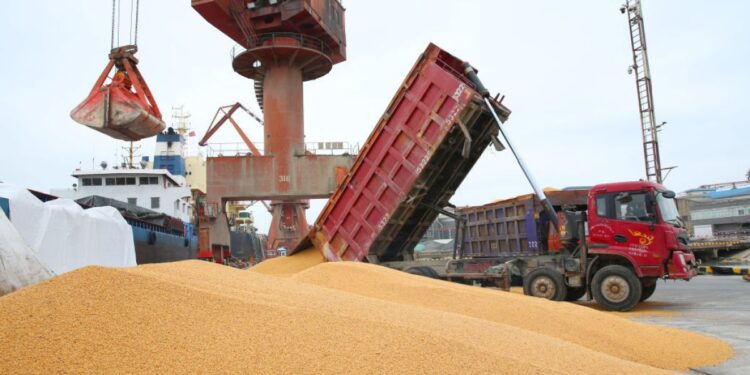 Trump’s commercial war enhances Brazilian agriculture and harms American farmers economy