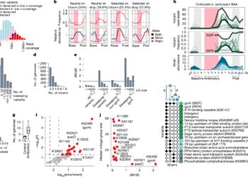 Use of short -term antibiotics linked to long -lasting resistance in intestinal bacteria