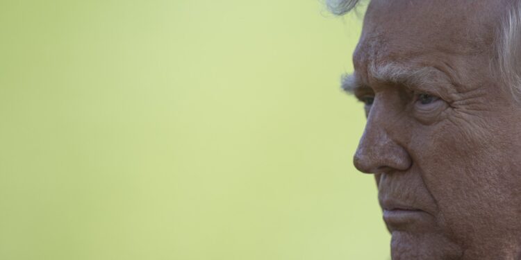 Will Trump succeed in earning $ 700 billion annually of customs duties? | economy