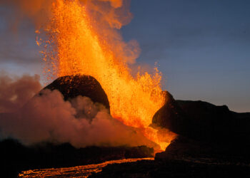 A fire in the linen crop in the Egyptian governorate of Gharbia provokes the interaction and sympathy of the platforms economy