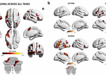 A full look at what’s going on in the brain when we read