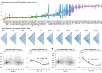 A large -scale study explores changes in lifespan in the functional connectivity of the human brain