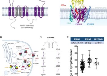 Alzheimer’s “genetic clock” model offers a calendar for the start of the disease in families